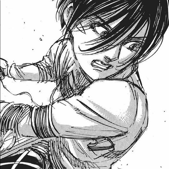 milfmikasa